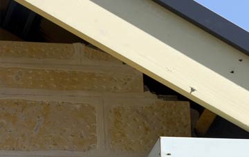 soffit repair Livingston Village